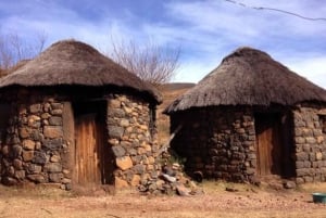 Durban: Tala Game Reserve, Phezulu Park, & Market Tour