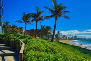 ダーバン：トップ 10 の都市観光ツアー