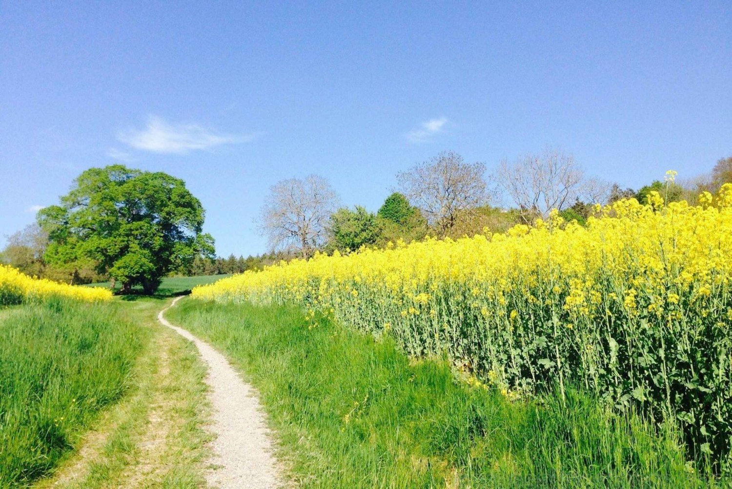 Durban-tur med golfupplevelse 7 dagar/6 nätter
