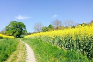 Durban-tur med golfupplevelse 7 dagar/6 nätter