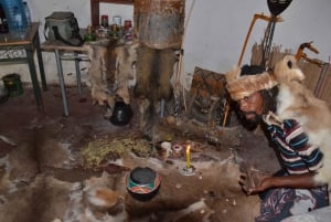 Durban: Zulu Oracle and Herbalist Experience Day Tour