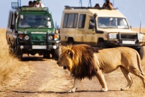 From Cape Town: 12-Day Great Adventure to Johannesburg