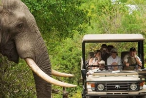 From Cape Town: 12-Day Great Adventure to Johannesburg
