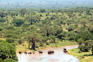 From Cape Town: 15-Day Great Adventure to Johannesburg