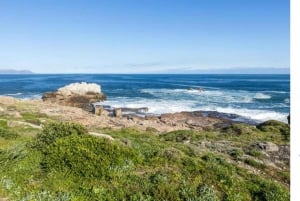 From CapeTown: 12-Day Tour to Johannesburg with Accomodation