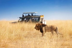 From Durban: 5-Day Zululand Tour