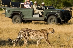 From Durban: 5-Day Zululand Tour