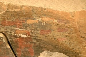 Fra Durban: Drakensberg-fjellene og Howick Falls-tur