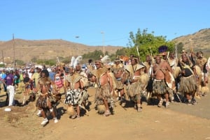 From Durban: Full Day Annual Royal Reed Dance Tour