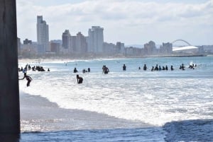 Från Durban: Halvdagsutflykt i Durban