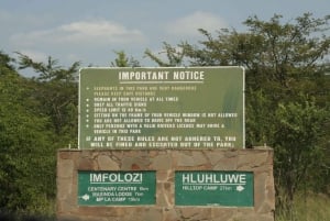 From Durban: Hluhluwe Imfolozi Game Reserve Private Tour