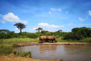 From Durban: Wildlife Lovers Big 5 Safari at 2 Game Reserves