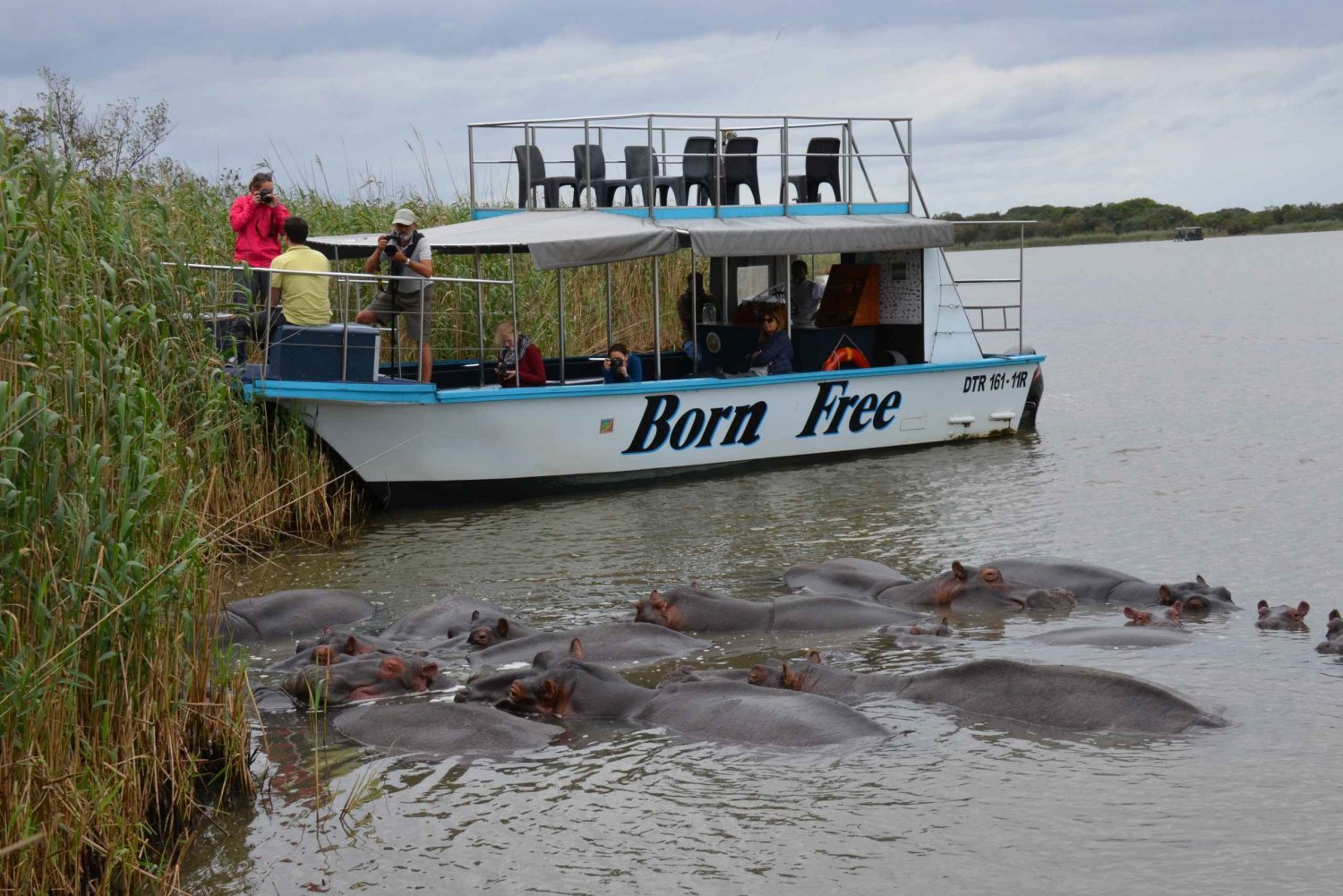 From Durban: St. Lucia Wetlands Boat Ride