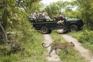 Durban: Full-Day Big 5 Private Game Reserve Safari w. Lunch