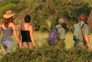 Hele dag Hluhluwe Imfolozi wildreservaat tour vanuit Durban