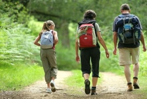 Half Day Drakensberg Mountains & Hiking Tour From Durban