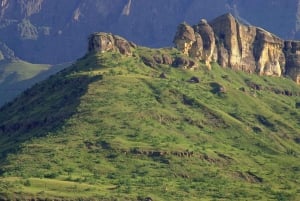 Half Day Drakensberg Mountains & Hiking Tour From Durban