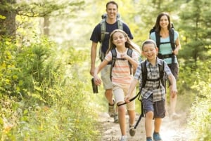 Half Day Drakensberg Mountains & Hiking Tour From Durban