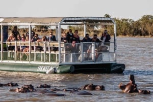 Half Day Hippo Boat Safari Isimangaliso Wetlands from Durban