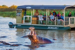 Half Day Hippo Boat Safari Isimangaliso Wetlands from Durban