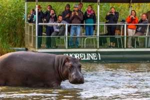 Half Day Hippo & Croc - Isimangaliso Wetlands Park fr Durban