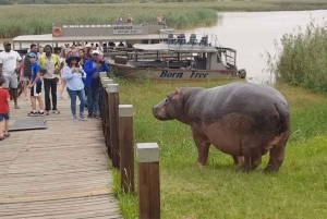 Half Day Hippo & Croc - Isimangaliso Wetlands Park fr Durban