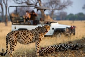 Half Day Hluhluwe Imfolozi Game Reserve from Richards Bay