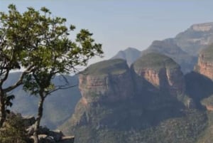 Safari de medio día desde Durban