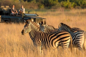 Half Day Safari Tala Game Reserve & Lion Park from Durban