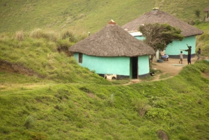Réserve de Tala et parc Natal : une demi-journée au départ de Durban