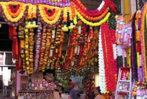 Réserve de Tala et parc Natal : une demi-journée au départ de Durban