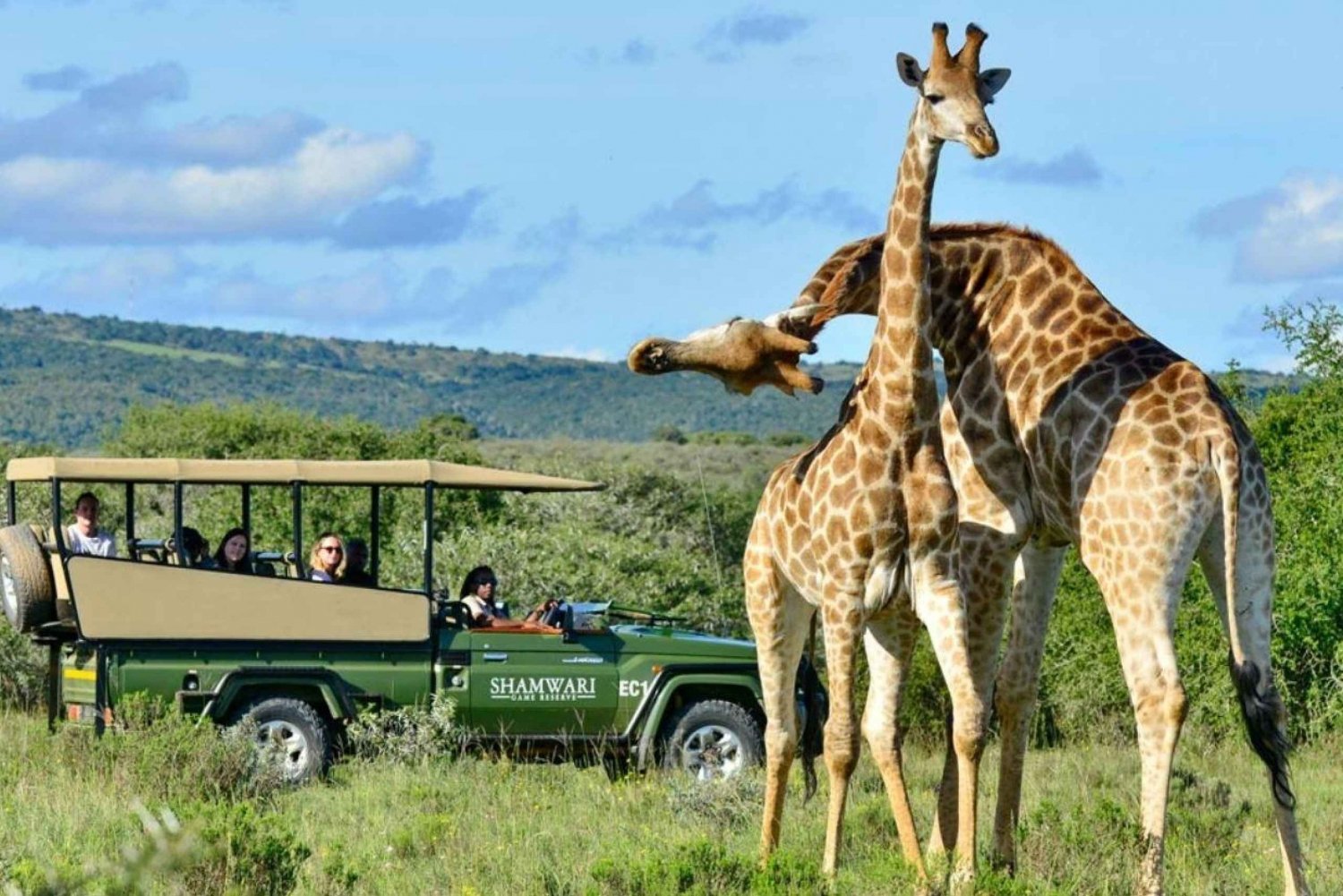 Half Day Tala Game Reserve & Phezulu Safari from Durban