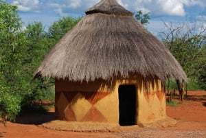 Medio día en la Reserva de Caza de Tala + Parque Safari Phezulu desde Durban