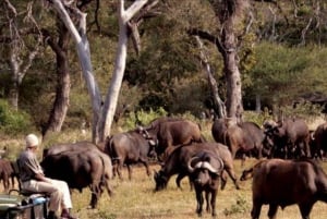 Hluhluwe Imfolozi Game Reserve Full day tour from Durban