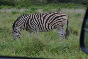 Hluhluwe Imfolozi Safari & Dumazulu Cultural Village