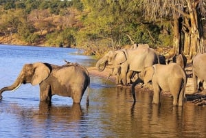 Isimangaliso Boat Cruise & Game Drive Day Tour from Durban
