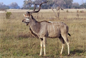 Phezulu Safari Park & Mandela Capture Site Half Day Tour