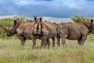St Lucia: iSimangaliso Wetland Park: Full-Day/Half-Day Tour