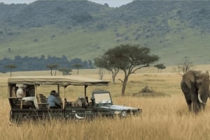 Zululand: 5-Day Safari, Hluhluwe, Isimangaliso & Drakensberg