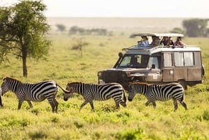 10 daagse safari - Johannesburg naar Kaapstad via Tuinroute