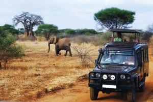 Safari de 12 jours - De Johannesburg au Cap