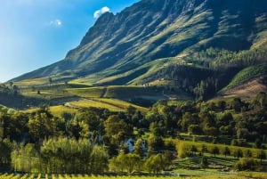 13 Day Private Tour - Cape Town to Johannesburg