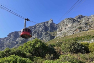 3-tägige private Tour: Good Hope Tafelberg & Robben Island