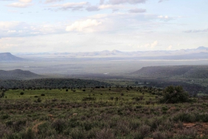 4-Day Addo to Karoo Safari