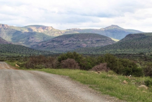 4-Day Addo to Karoo Safari