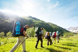 Tour di 4 giorni della Garden Route da Città del Capo