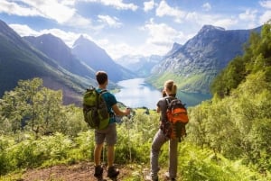 Tour di 4 giorni della Garden Route da Città del Capo