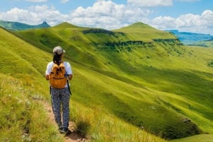 Excursão de 4 dias pela Garden Route saindo da Cidade do Cabo