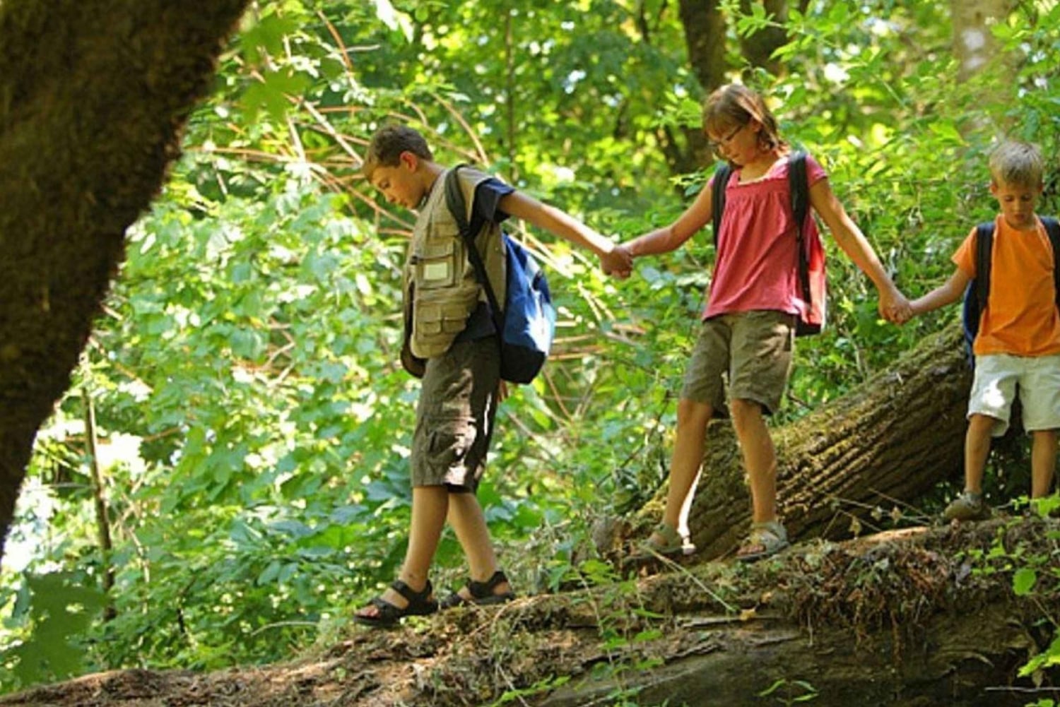 4-tägige Kleingruppentour auf der Garden Route ab Kapstadt