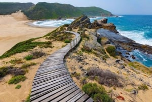 4-tägige Kleingruppentour auf der Garden Route ab Kapstadt